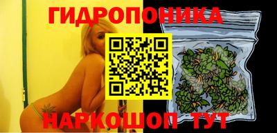 a pvp Пугачёв