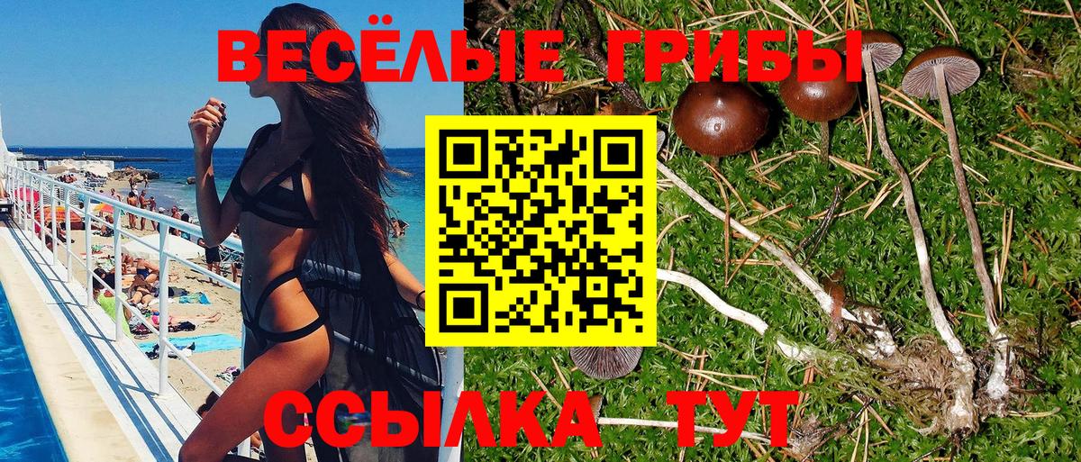 Псилоцибиновые грибы Psilocybe  Псилоцибиновые грибы Psilocybine cubensis  Вход с VPN  Рассказово 