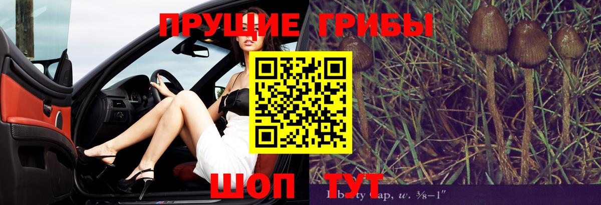 Псилоцибиновые грибы GOLDEN TEACHER Рассказово